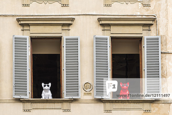 Italien  Toskana  Florenz  lustige Fensterdekoration  Hundefiguren mit Sonnenbrille