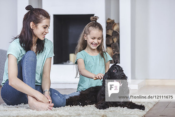 Lächelnde Mutter schaut auf die Tochter  die im Wohnzimmer zu Hause Hundehaare bürstet.