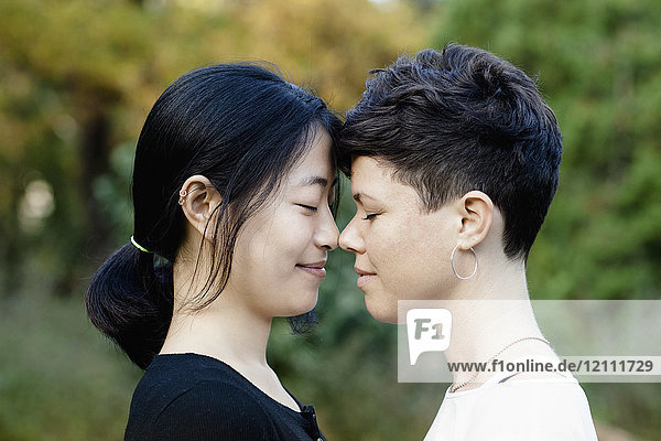 Nahaufnahme eines lächelnden lesbischen Paares  das von Angesicht zu Angesicht im Park steht.