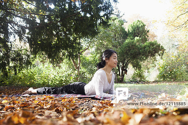 Lächelnde Frau  die im Herbst auf einer Picknickdecke im Park Yoga macht.