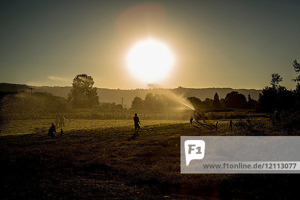 Field landscape with adults and children playing with agricultural sprinkler at sunset