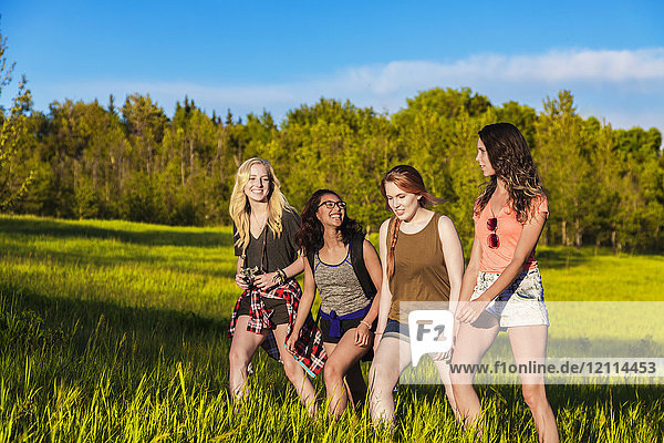 Eine Gruppe von vier Freundinnen wandert gemeinsam durch ein Feld in einem Park; Edmonton  Alberta  Kanada