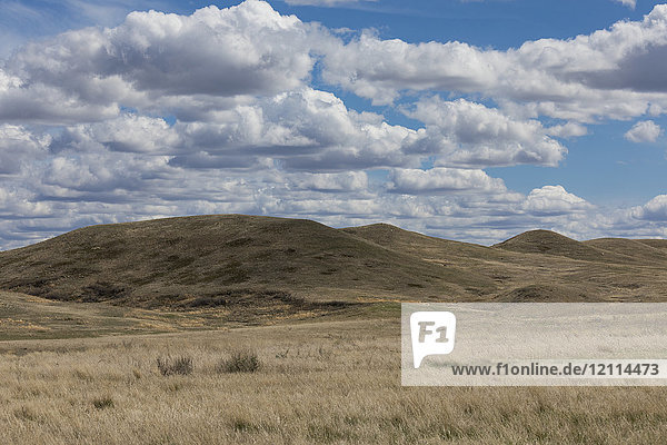 Prairie scene in Grasslands National Park; Saskatchewan  Canada