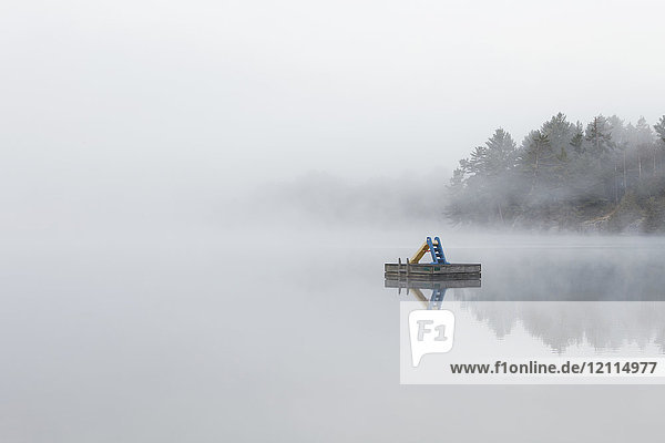 Nebel umhüllt eine kleine Insel im Turtle Lake in der Region Muskoka in Ontario  in der Nähe von Rosseau; Ontario  Kanada