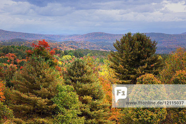 Blick auf sanfte Hügel mit buntem Herbstlaub unter bewölktem Himmel  White Mountains National Forest; New England  Vereinigte Staaten von Amerika