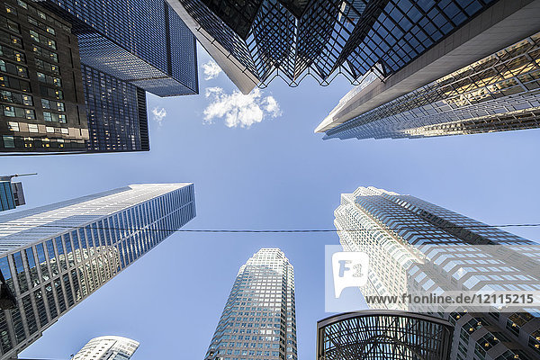 Wolkenkratzer in der Innenstadt von Toronto; Toronto  Ontario  Kanada