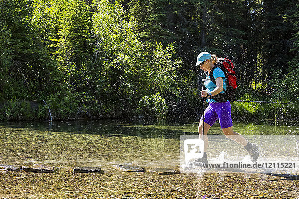 Eine Wanderin mit Trekkingstöcken springt von Fels zu Fels in einem seichten Bach und bespritzt das Wasser mit ihren Stiefeln; Calgary  Alberta  Kanada