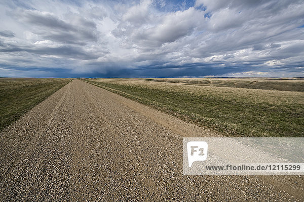Schotterstraße in der stürmischen Ferne  ländliches Saskatchewan; Saskatchewan  Kanada