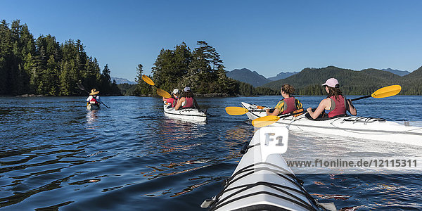 Kayaking in Clayoquot Sound  Vancouver Island; Tofino  British Columbia  Canada