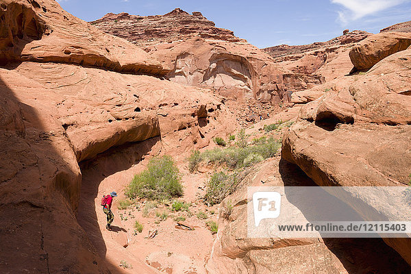 Mann  der eine Wüstenschlucht durchquert  mit einem Team im fernen Hintergrund  das einen Pfad um Sandsteinklippen herum läuft; Hanksville  Utah  Vereinigte Staaten von Amerika