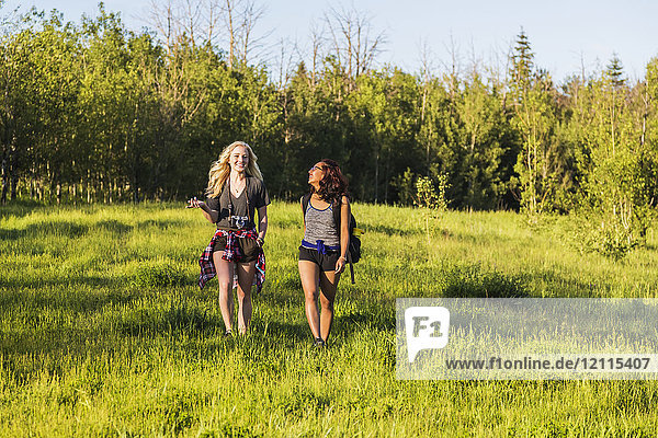 Zwei Freunde wandern und unterhalten sich in einem Park; Edmonton  Alberta  Kanada