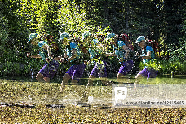 Multiple exposure of a female hiker with trekking poles leaps from rock to rock in a shallow stream and splashes water with her boots; Calgary  Alberta  Canada
