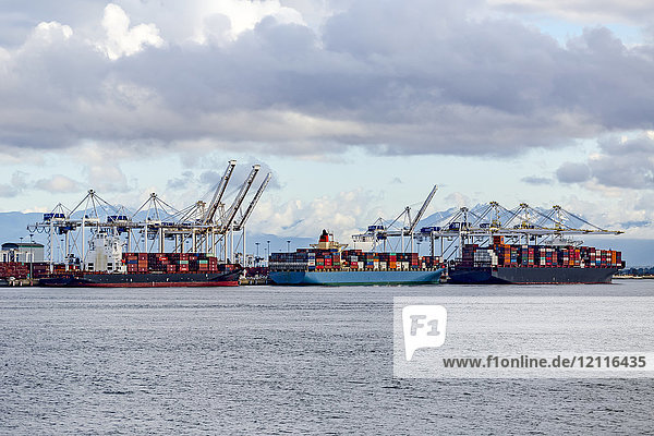Containerschiffe im Dock des Delta-Hafens außerhalb von Vancouver; Vancouver  British Columbia  Kanada