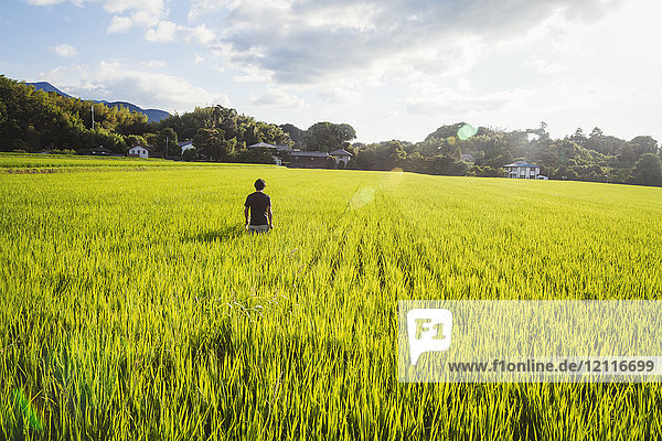 Ein Reisbauer steht in einem Feld mit grünen Feldfrüchten  einem Reisfeld mit üppigen grünen Trieben.