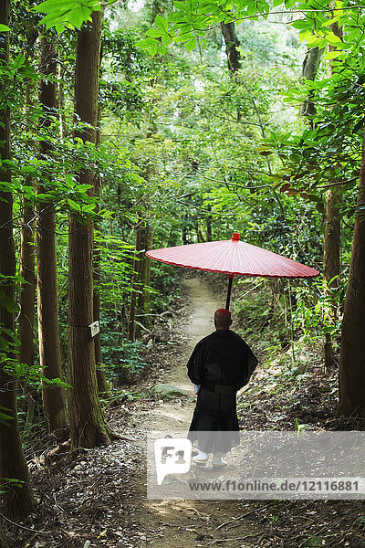 Rear view of Buddhist monk wearing black robe walking down a forest path,  carrying traditional red Japanese umbrella.