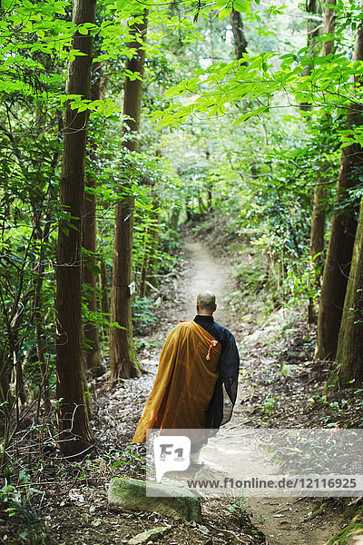 Rückansicht eines buddhistischen Mönchs mit rasiertem Kopf in schwarz-gelber Robe  der einen Waldweg entlang geht.