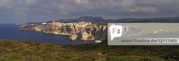 Steilküste im Morgenlicht  Bonifacio  Korsika  Frankreich  Europa
