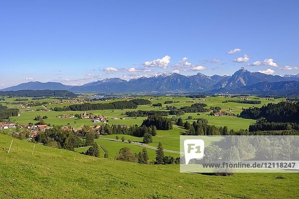 Blick vom Schlossberg bei Eisenberg  Hopfensee und Ammergauer Alpen mit Säuling  Ostallgäu  Allgäu  Schwaben  Bayern  Deutschland  Europa