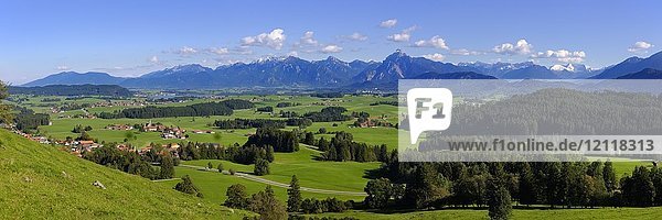 Panoramablick vom Schlossberg bei Eisenberg  Hopfensee und Ammergauer Alpen mit Säuling  Ostallgäu  Allgäu  Schwaben  Bayern  Deutschland  Europa