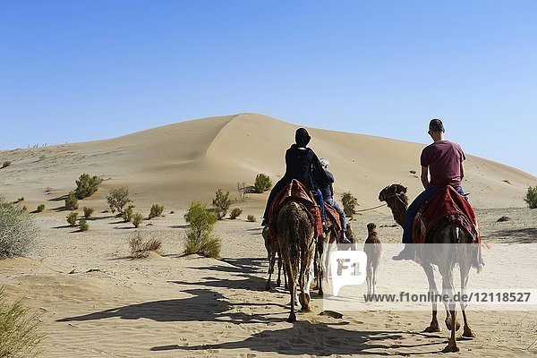 Touristen reiten auf Kamelen  Kameltour  Wadi Rum Wüste  nahe Matinabad  Iran  Asien