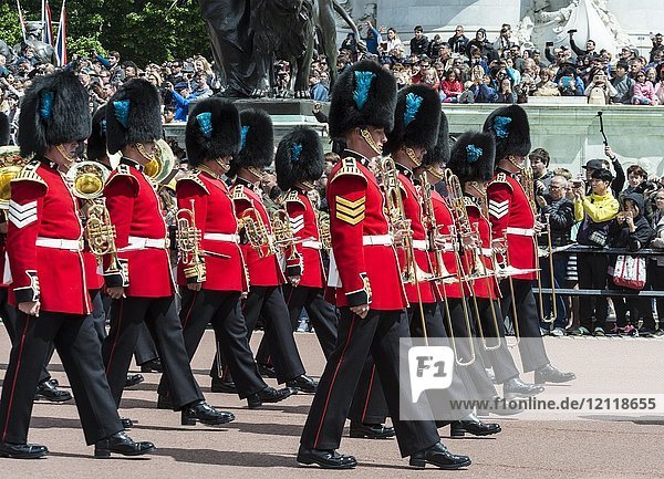Brass band  guards of the royal guard with bearskin cap  Changing of the Guard  Traditional Changing  Buckingham Palace  London  England  Great Britain