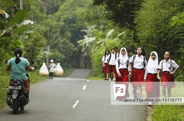 Schulmädchen  Mädchen in Schuluniform auf der Straße  Dorf Losari  Magelang  Java  Indonesien  Asien
