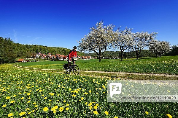 Radfahrer auf Feldweg  bei Burggaillenreuth  Fränkische Schweiz  Oberfranken  Bayern  Deutschland  Europa