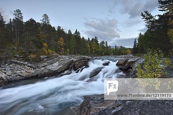 Wasserfall im Fluss Saltelva  Saltdal  Norwegen  Europa