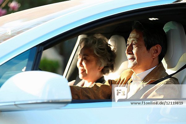 Old couples drive by car
