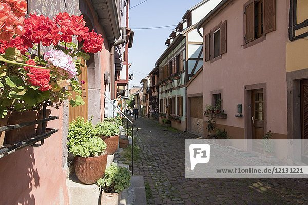 Eguisheim village  traditional colorful houses on May 14  2016 in Alsace  France.