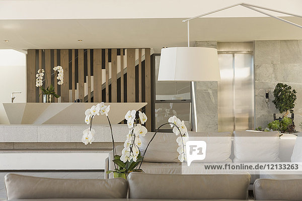 Modernes,  luxuriöses Musterhaus mit Orchideen im Wohnzimmer