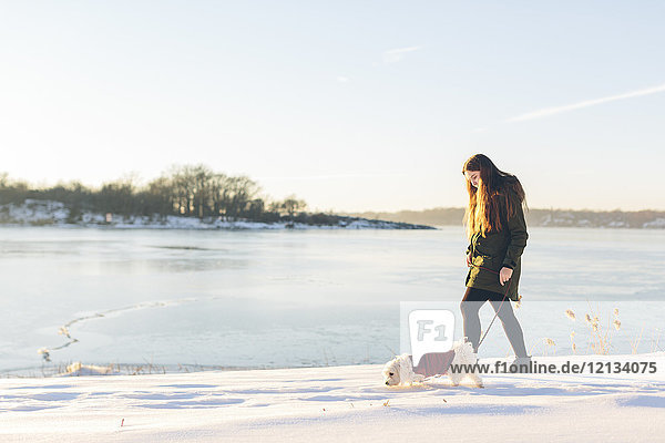 Junge Frau mit ihrem Hund im Winter in Blekinge,  Schweden