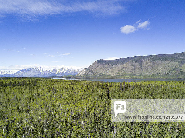 Scenic view of trees and river near mountain