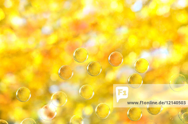 Soap bubbles and autumn leaves