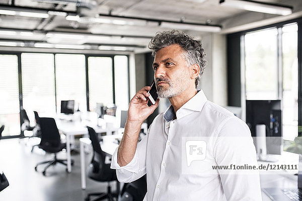 Mature businessman on cell phone in office