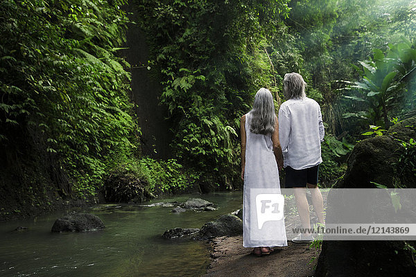 Schönes Seniorenpaar im tropischen Wasserfall