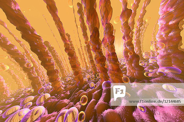 3D-Darstellung von Lungen- oder Leberzellen mit darin schwebenden Sauerstoffblasen