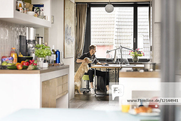 Man with dog working at desk at home