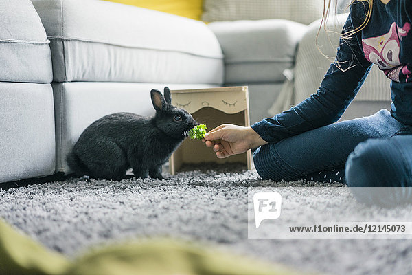 Girl feeding hare in living room