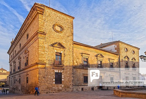 Town hall and Palacio de Vázquez de Molina. Úbeda. Jaén. Andalusia. Spain.