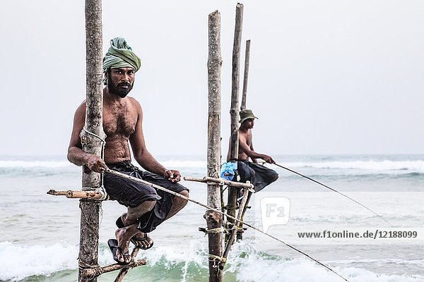 Stilt Fishermen  Ahangama  Mirissa  Sri Lanka  Asia.