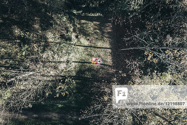 Luftaufnahme von zwei Frauen auf einer herbstlichen Waldlichtung
