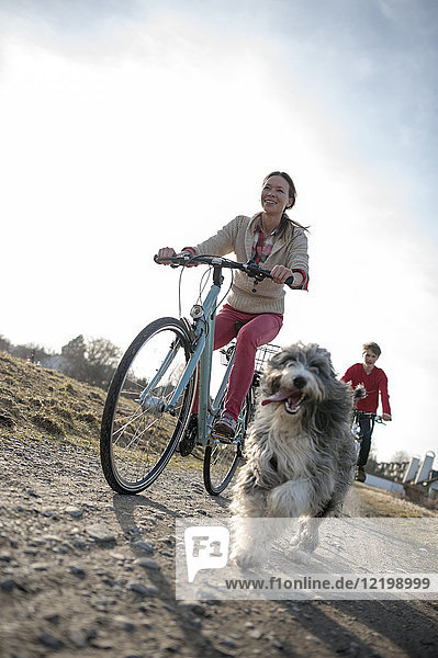 Mann und Frau mit Hundefahrrad auf Schotterpiste