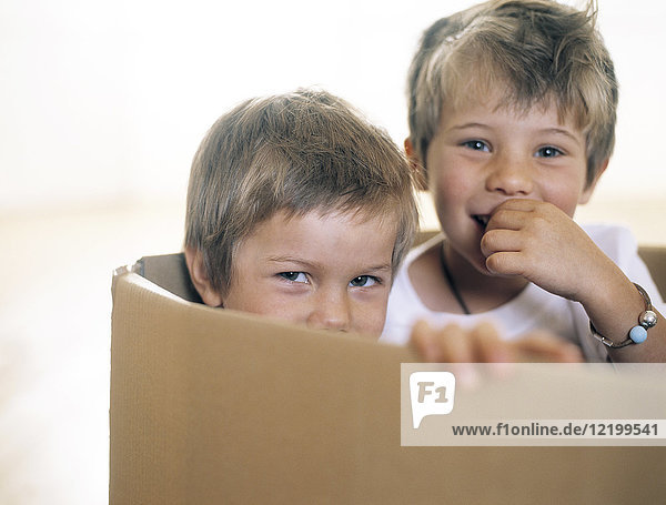 Zwei glückliche kleine Kinder zusammen in einem Pappkarton