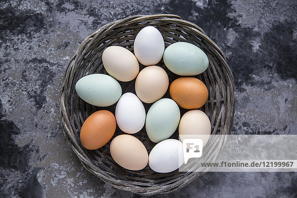 Verschiedene Eier  weiße  braune  hellbraune und grüne Eier