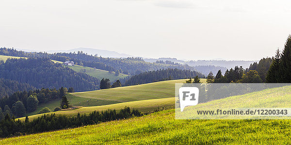 Deutschland  Baden-Württemberg  Schwarzwald  Felder und Wald mit Bauernhaus im Hintergrund