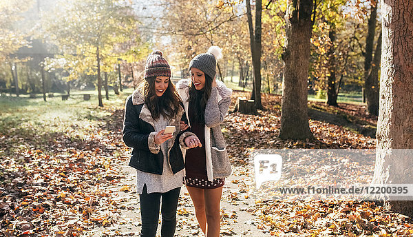 Two women with cell phone walking in autumnal forest