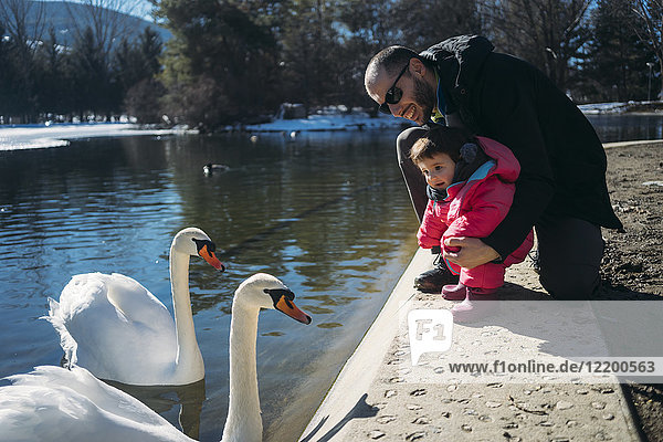 France  Osseja lake  cute baby with father watching the swans in a park
