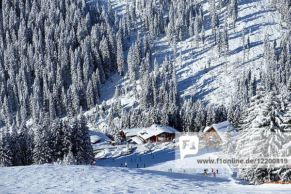 Österreich  Tirol  Zillertal  Hochfuegen  Skigebiet  Montana Alp  Aar Alp