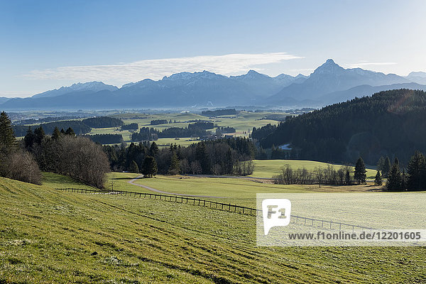 Deutschland  Bayern  Allgäu  Ostallgäu  Ammergauer Alpen mit Säuling